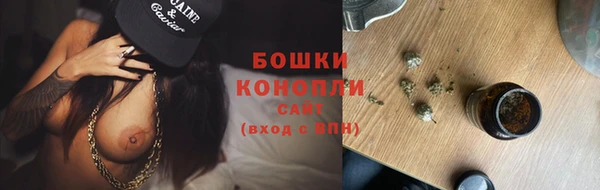 бошки Бронницы
