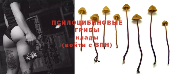 бошки Бронницы
