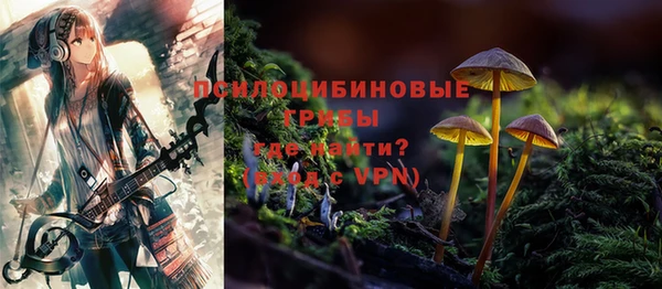 бошки Бронницы