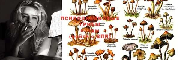 MDMA Premium VHQ Бородино